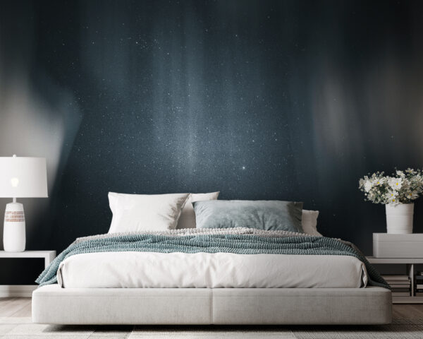 Cielo oscuro con estrellas Fotomurales Cielo oscuro con estrellas