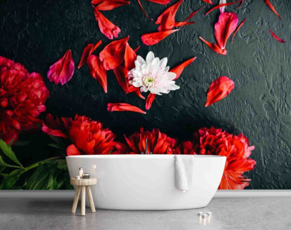 Grupo de flores rojas con pétalos sobre una superficie negra Fotomurales Grupo de flores rojas con pétalos sobre una superficie negra