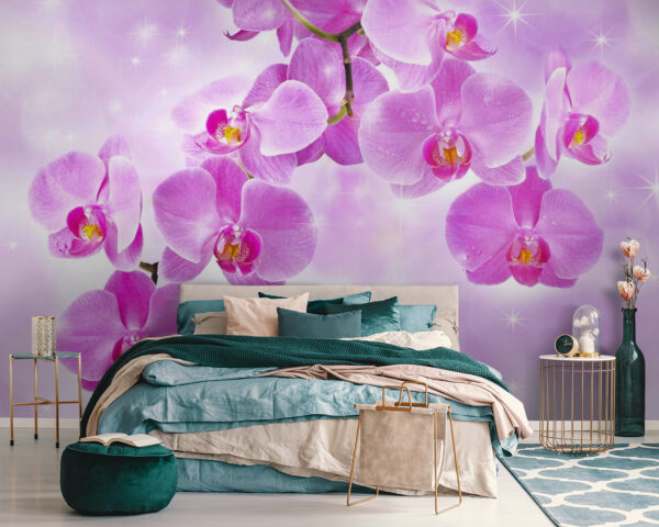 Delicadas orquídeas en tonos suaves Fotomurales Delicadas orquídeas en tonos suaves