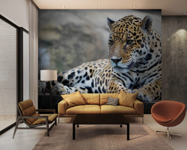 Leopardo tumbado sobre una superficie de madera Fotomurales Leopardo tumbado sobre una superficie de madera