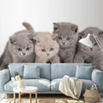 Fotomurales Adorables gatitos listos para jugar.