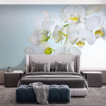 Fotomurales Orquídeas blancas sobre el agua