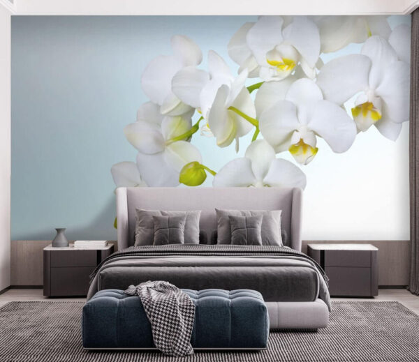 Orquídeas blancas sobre el agua Fotomurales Orquídeas blancas sobre el agua
