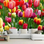 Fotomurales Grupo de coloridos tulipanes