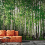 Fotomurales Grupo de árboles con hojas verdes