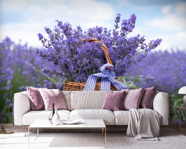 Cesta de lavanda en un campo Fotomurales Cesta de lavanda en un campo