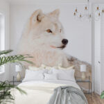 Fotomurales Lobo blanco en la nieve