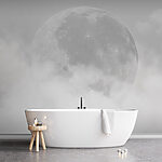 Fotomurales La luna emerge entre nubes difusas