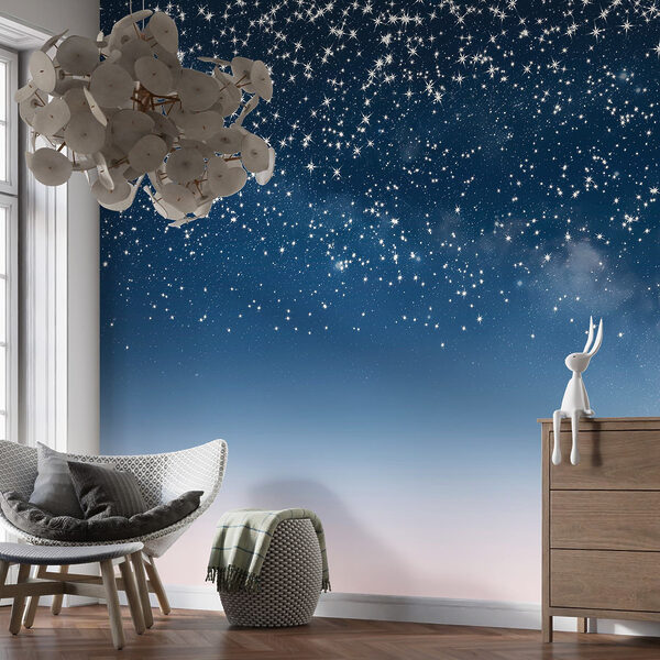 Fotomurales Estrellas en el cielo