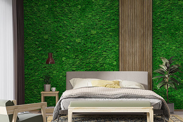 Tablón de madera sobre una pared verde Fotomurales Tablón de madera sobre una pared verde