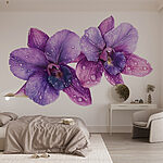 Fotomurales Flores moradas con gotas de agua