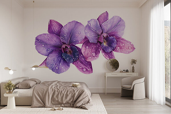 Flores moradas con gotas de agua Fotomurales Flores moradas con gotas de agua