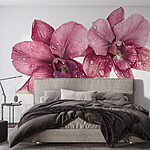 Fotomurales Delicadas flores con gotas refrescantes