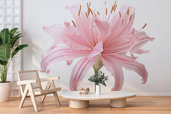 Fotomurales Pétalos delicados, suaves tonos rosados