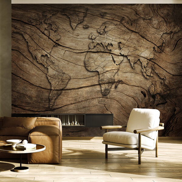 Fotomurales Mapa de madera grabado en superficie