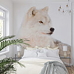 Fotomurales Lobo blanco en la nieve