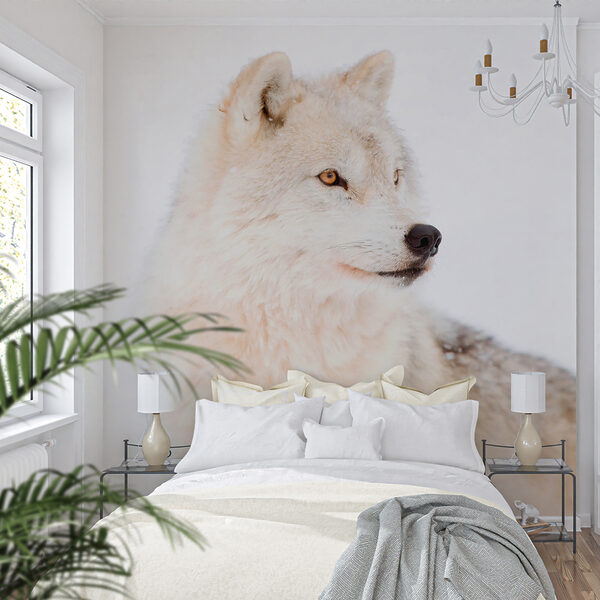 Fotomurales Lobo blanco en la nieve