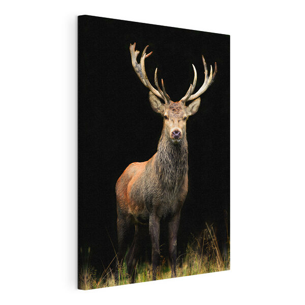 Cuadros Cuadros Un majestuoso ciervo en el bosque (SKU: s08154)