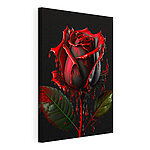 Cuadros Rosa roja con pétalos oscuros y chorreantes