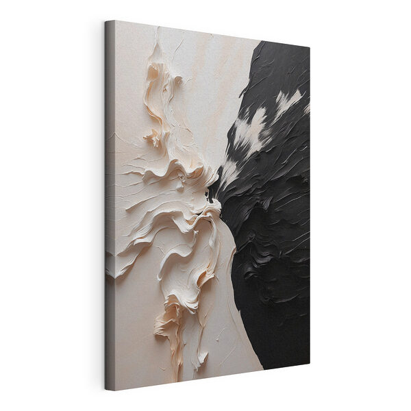 Cuadros Pintura blanca y negra