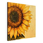 Cuadros Cuadro de un girasol