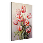 Cuadros Cuadro de tulipanes rosas