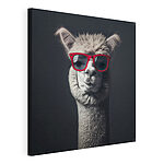Cuadros Lama con gafas de sol rojas