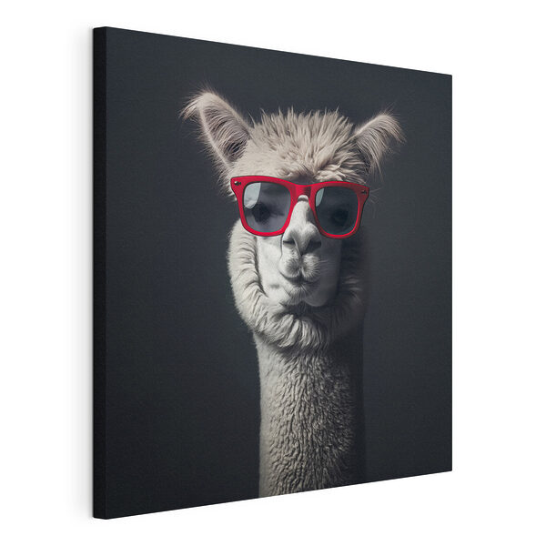 Lama con gafas de sol rojas Cuadros Lama con gafas de sol rojas