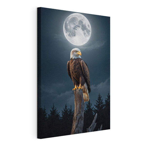 Cuadros Águila calva posada en un poste, con la luna llena al fondo (SKU: s41043) Cuadros Cuadros Águila calva posada en un poste, con la luna llena al fondo (SKU: s41043)