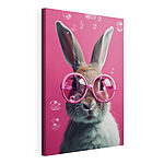 Cuadros Conejo con gafas rosas