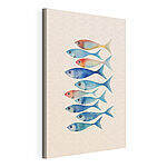 Cuadros Grupo de peces de diferentes colores