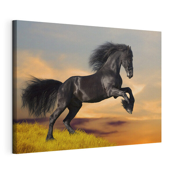 Cuadros Un majestuoso caballo saltando al atardecer (SKU: s09470) Cuadros Cuadros Un majestuoso caballo saltando al atardecer (SKU: s09470)