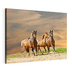 Cuadros Caballos galopando por el campo de arena