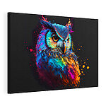 Cuadros Búho de colores con salpicaduras de pintura