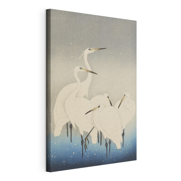 Cuadros Cuadros Grupo de aves blancas con picos largos (SKU: s33730)