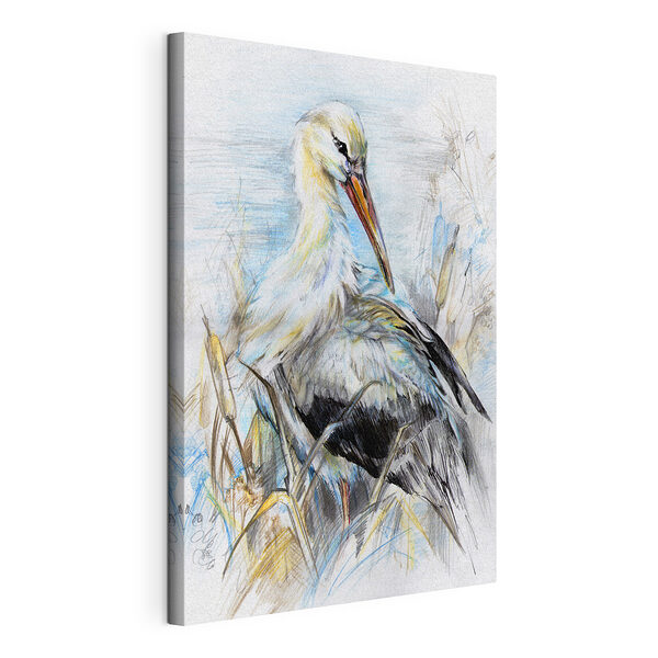 Dibujo de un pájaro Cuadros Dibujo de un pájaro