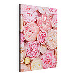 Cuadros Rosas en flor de color rosa y crema