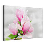 Cuadros Magnolias rosas bajo una luz suave
