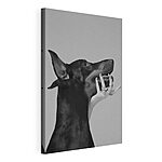 Cuadros Perro y mano con anillos