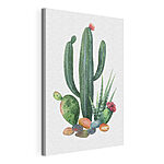 Cuadros Acuarela de un cactus y unas rocas
