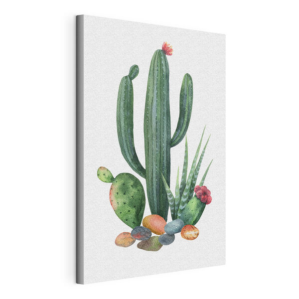 Cuadros Acuarela de un cactus y unas rocas