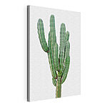 Cuadros Cactus con tallos verdes largos y delgados
