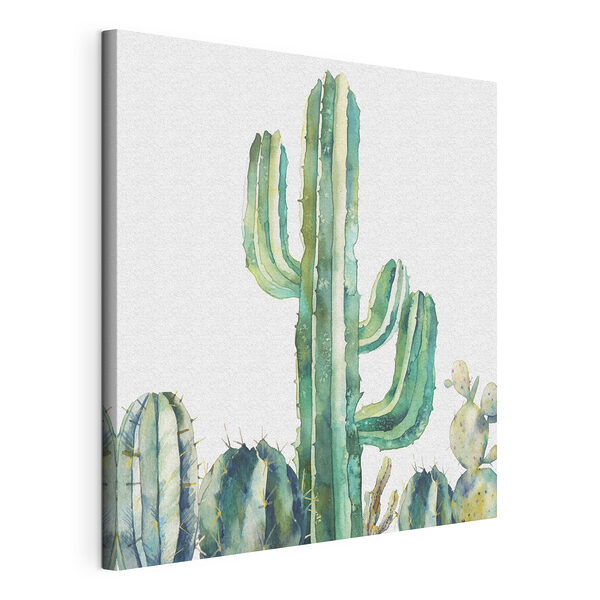 Acuarela de un cactus Cuadros Acuarela de un cactus