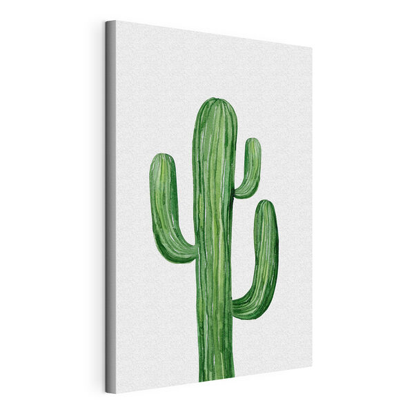 Cactus verde sobre fondo blanco Cuadros Cactus verde sobre fondo blanco