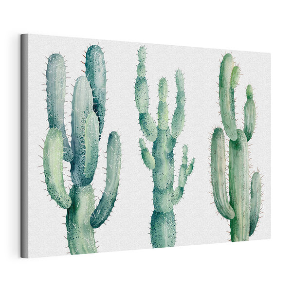 Grupo de cactus sobre fondo blanco Cuadros Grupo de cactus sobre fondo blanco