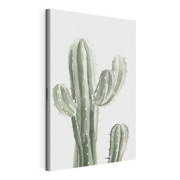 Cuadros Acuarela de un cactus