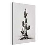 Cuadros Cactus sobre fondo blanco