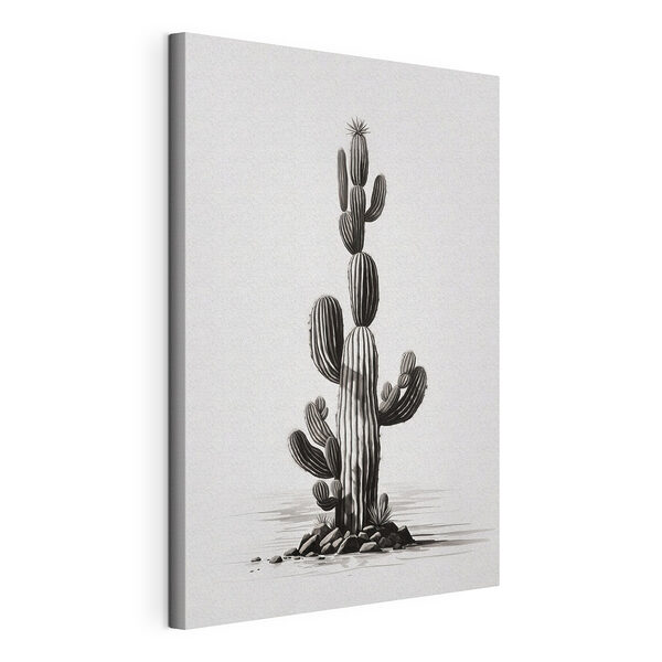 Cuadros Cactus sobre fondo blanco