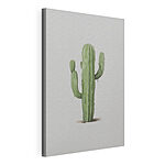 Cuadros Cactus con espinas
