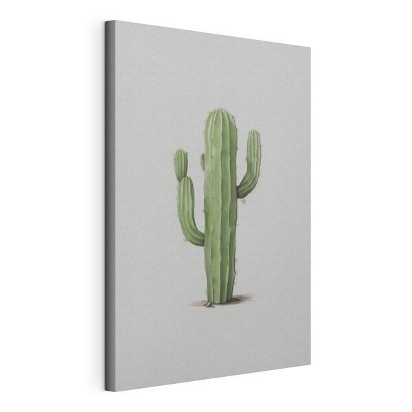 Cactus con espinas Cuadros Cactus con espinas